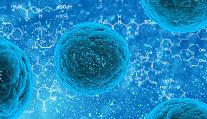 1 SteriFog_Bacteria