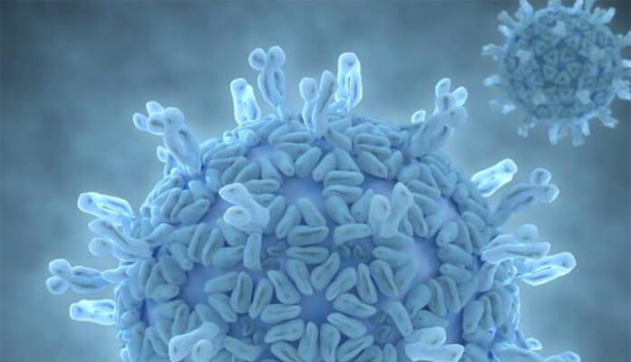 3 SteriFog_Virus