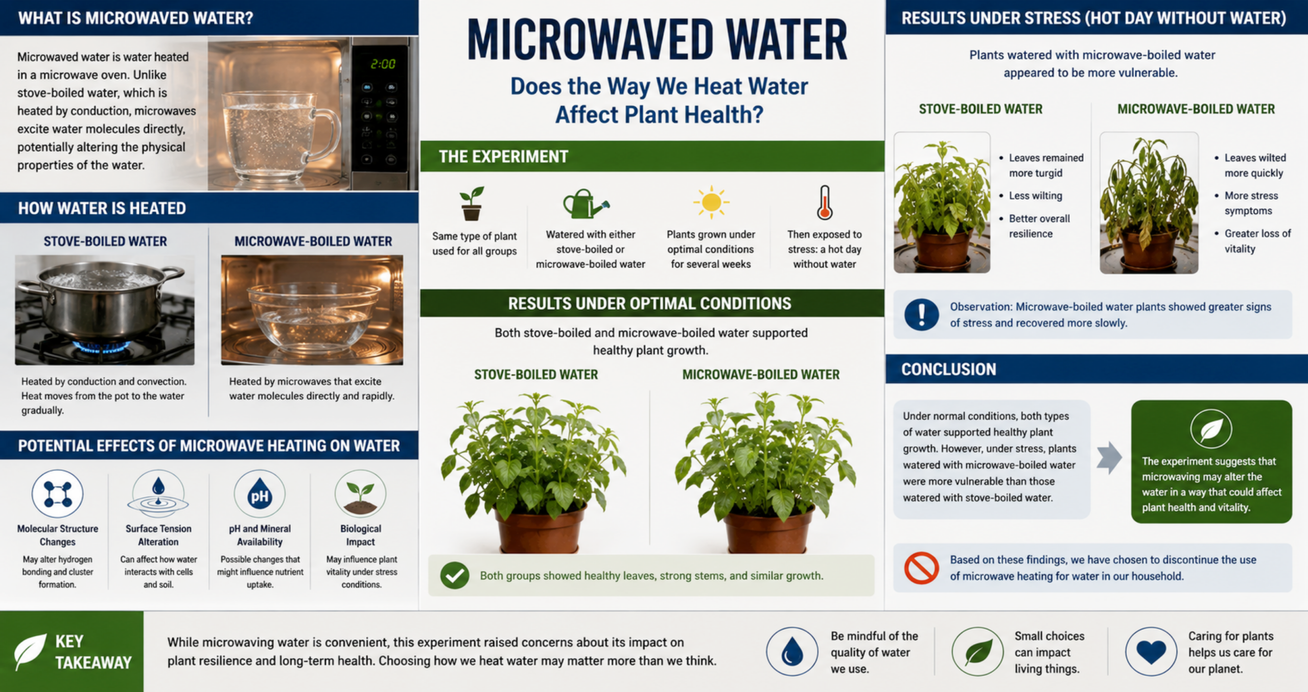 Microwaved Water 2